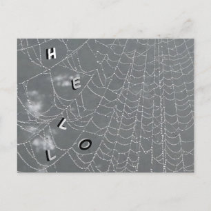 Dew arroja postal de Spider Web HELLO