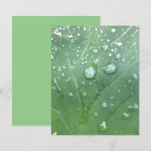 Dew Droga Papel de cuaderno de hojas de elefante v (Anverso / Reverso)