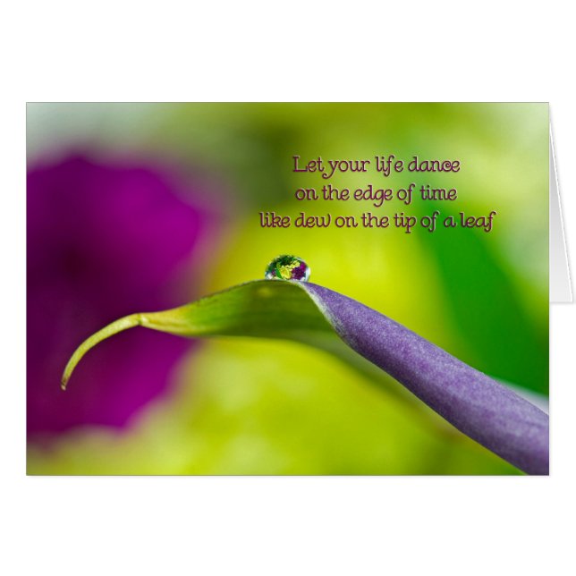 Dew Drop (Anverso (Horizontal))
