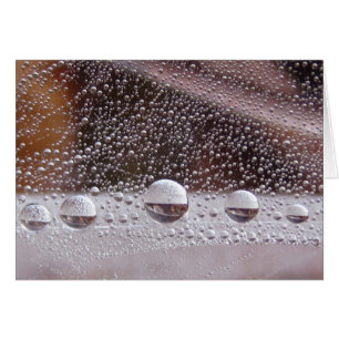 Dew Drop Yin Yang Pacific Nature Card con poema