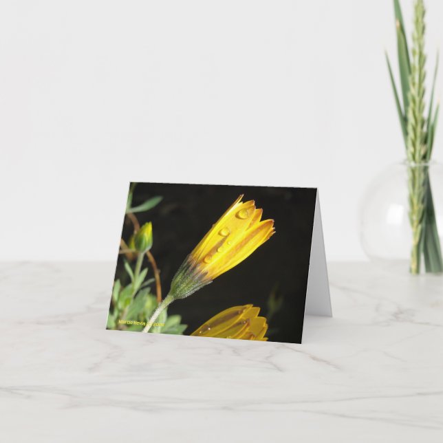 Dew en una margarita amarilla - Tarjeta de nota (Anverso)