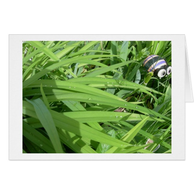 Dew matutino (Anverso (Horizontal))