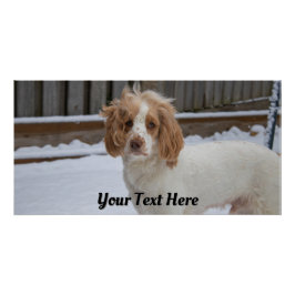 Dexter in the Snow - Impresión Poster brillante