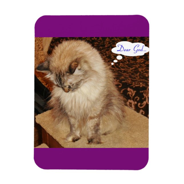 Dezi reza imán (Vertical)