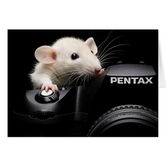 ¡Di queso! (Anverso (Horizontal))