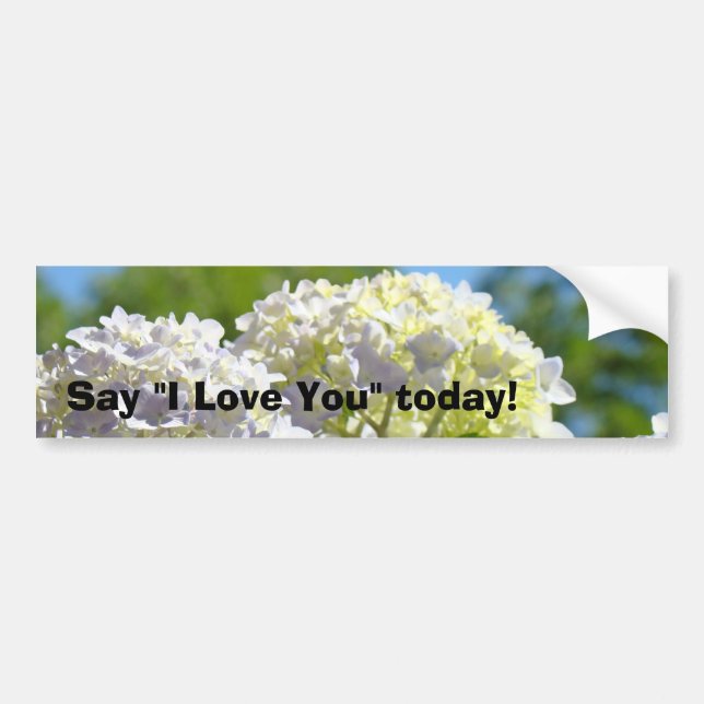 Di Te Amo hoy! pegatinas Hortensias (Frente)