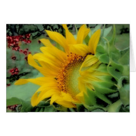 Día de Apertura - Girasol