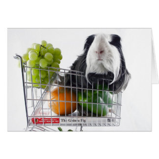 Día de compras del conejillo de Indias