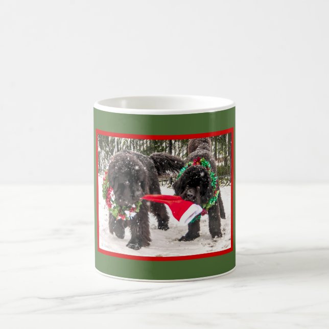 Día de fiesta de Newfie que comparte una taza de (Centro)