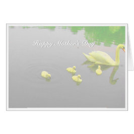 Día de la Madre Lago de los Cisnes