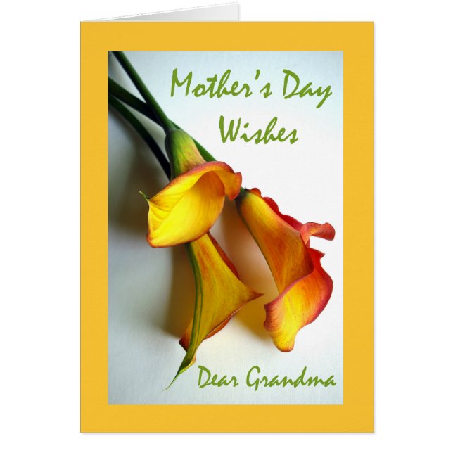 Día de la Madre para la Abuela, Calla Lilies (Frente)