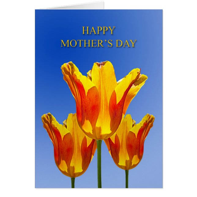 Día de la Madre, tulipanes llenos de sol (Frente)