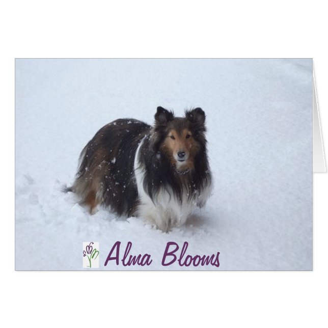 Día de la nieve (Anverso (Horizontal))