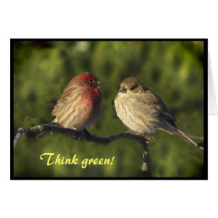 Día de la Tierra de los Lovebirds