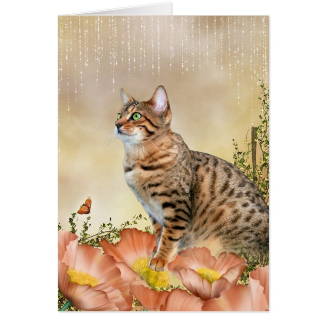 Día de lluvias en Bengala (Frente)