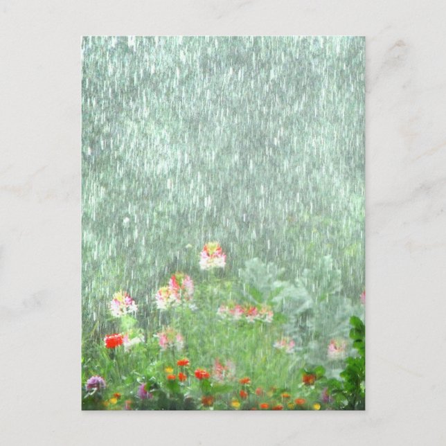 Día de lluvias en la tarjeta postal del jardín de  (Anverso)