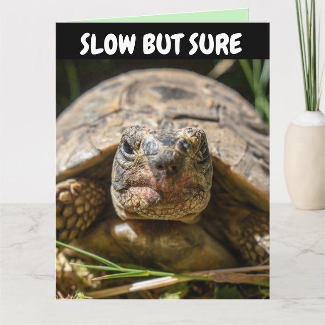 DÍA DE NACIMIENTO DIVERTIDA TORTUGA Tarjeta de fel (Anverso)
