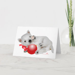 Día de Navidad de cachorro Westie