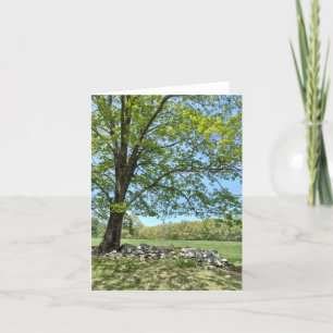 Día de primavera en tarjeta de nota de Monson