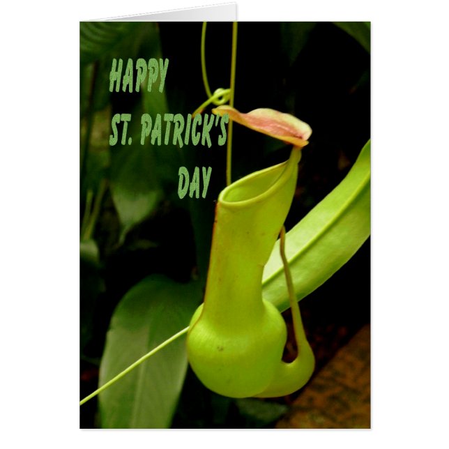 Día de San Patricio con la planta de tuberías verd (Frente)