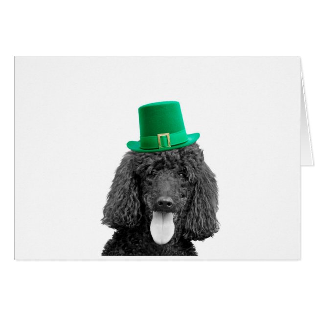 Día de San Patricio, Gorra de perro de caniche (Anverso (Horizontal))