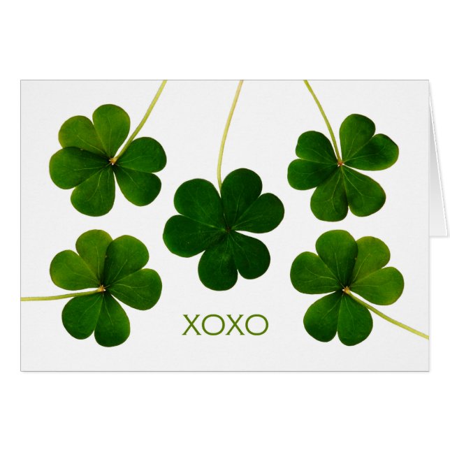 Día de San Patricio para Novio, XOXO Shamrock (Anverso (Horizontal))