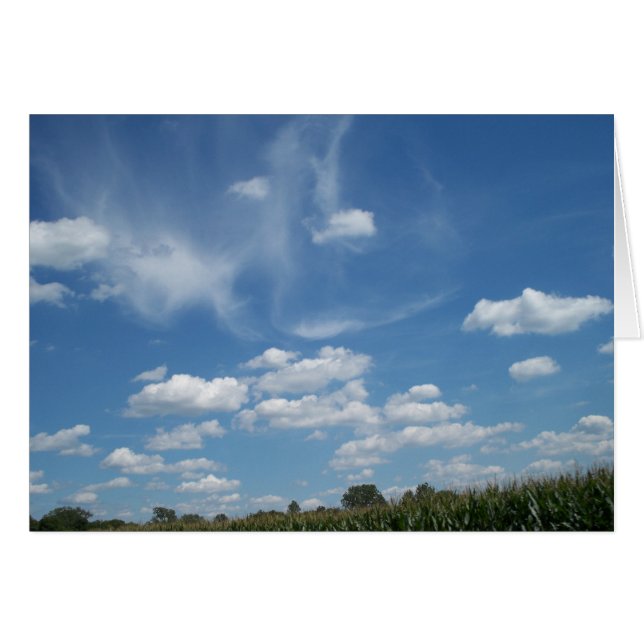 Día de Wisp-ery (Anverso (Horizontal))