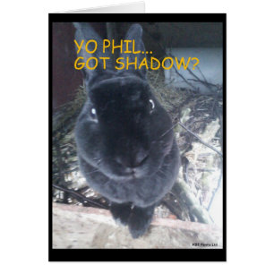 Día del cerdo de tierra/tarjeta de pascua