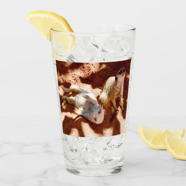 Día del Meerkat, (Anverso (hielo))