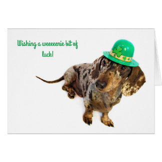 Día del St. Patty del Dachshund
