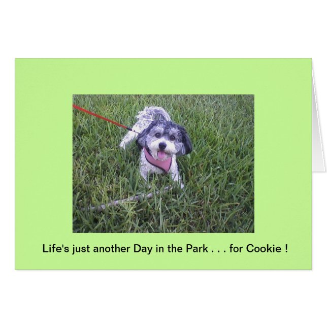 Día en el parque (Anverso (Horizontal))