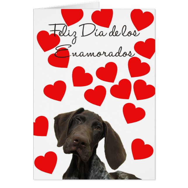 Día Español Enamorados Glossy Grizzly Valentine (Frente)