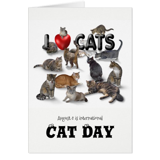 Día Internacional del Gato (Frente)