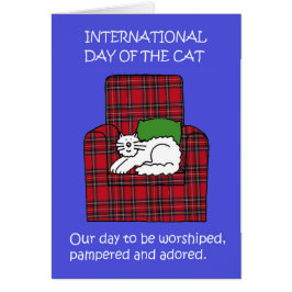 Día Internacional del Gato Agosto