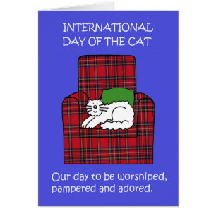 Día Internacional del Gato Agosto