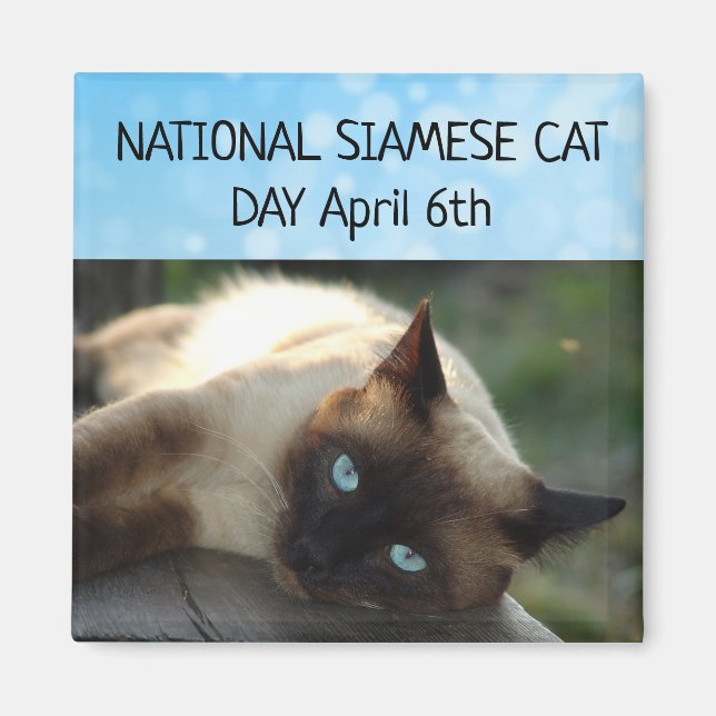 Día Nacional del Gato Siamés, 6 de abril, imán (Frente)