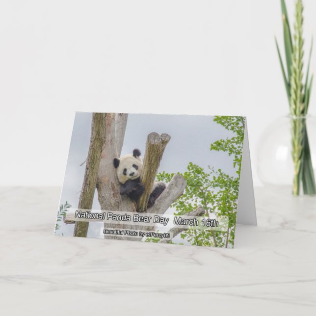 Día Nacional del Panda 16 de Marzo Tarjeta de vaca (Anverso)