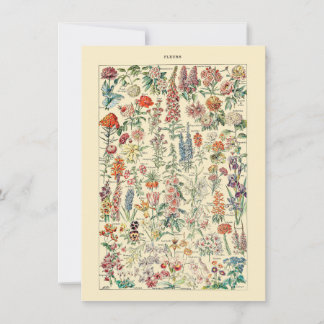 Diagrama de jardinería de flores silvestres botáni