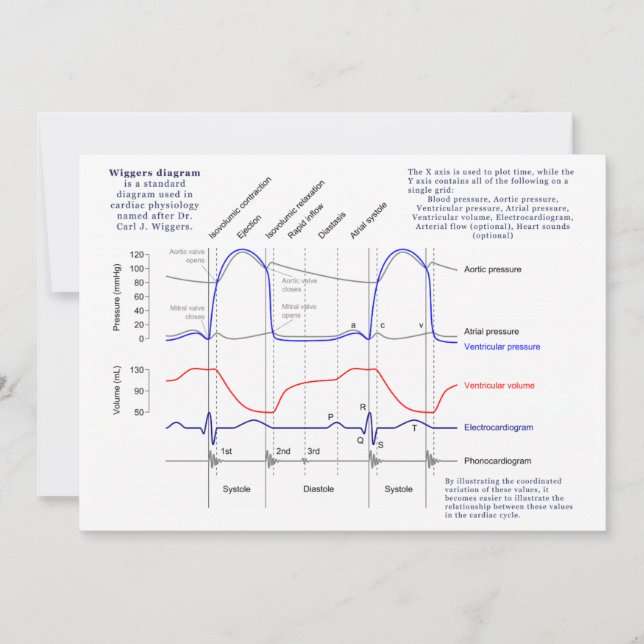 Diagrama de Wiggers (Anverso)