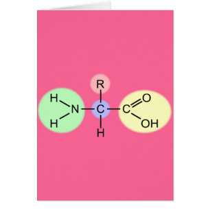 Diagrama del aminoácido