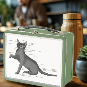Diagrama divertido de anatomía de gato Humor nerd