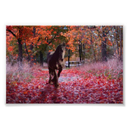 DIAMOND VIII Friesiano - Impresión fotográfica