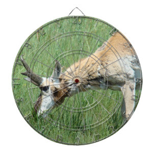 Diana A11 Pronghorn Antílope Macho Pastando