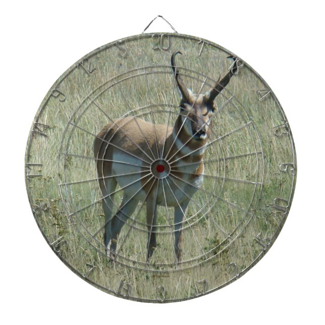 Diana A13 Pronghorn Antelope Buck (Frente)