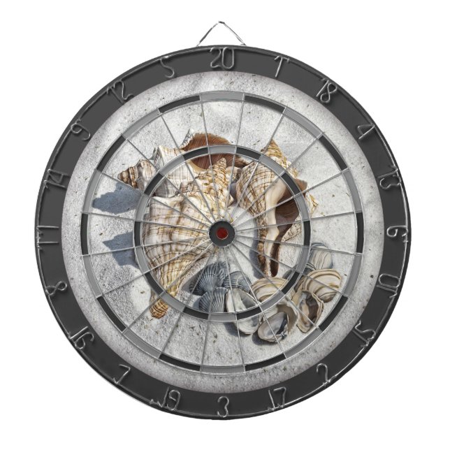 Diana A Collection of Seashells on Sand (Frente)