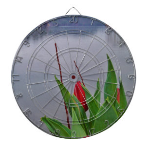 Diana Aguas de Arrowhead del Lago Azul de Tulipanes Rojo