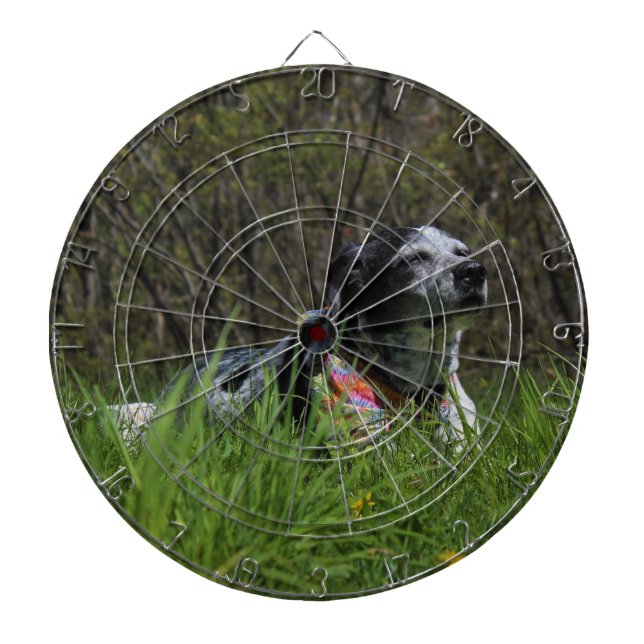 Diana Alegría (Frente)