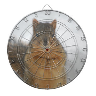 Diana Amor a las ardillas