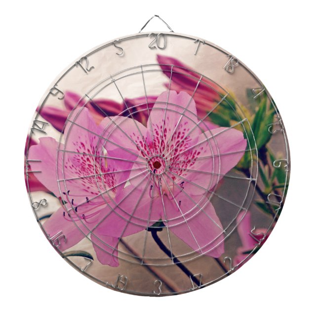 Diana Azaleas (Frente)