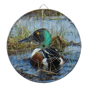 Diana B25 Northern Shoveler Drake